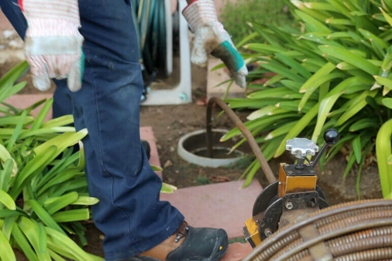 Importance of Professional Drain Cleaning